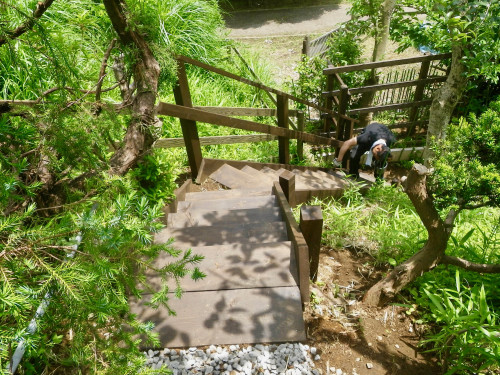 IMGP4188.jpg