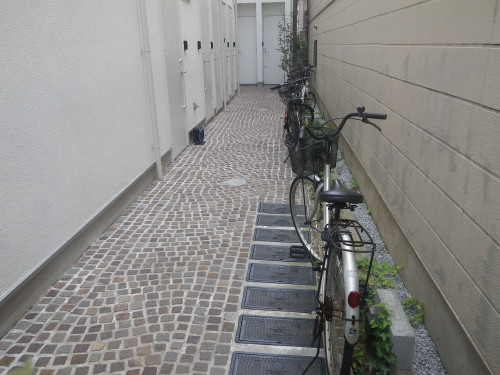 IMGP0019.jpg