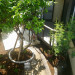 IMGP0018.jpg