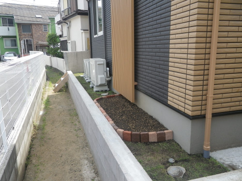 IMGP0017.jpg