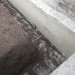 IMGP0016.jpg