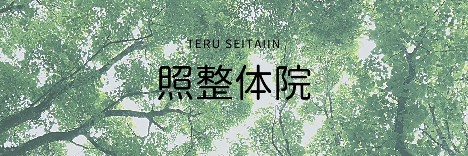 照整体院