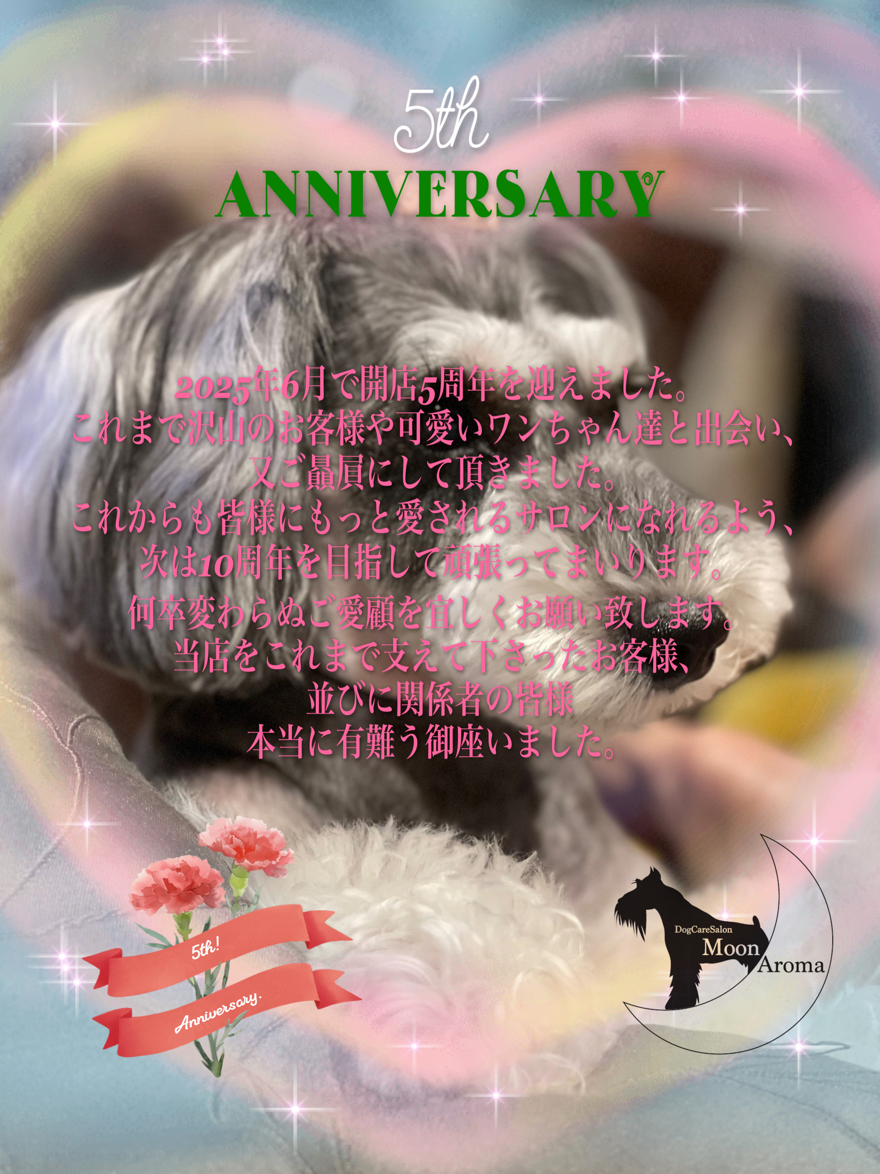 ❣️開店5周年❣️