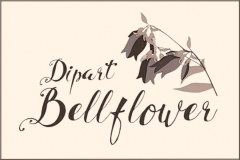 Dipart Bellflower