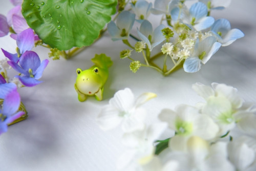 梅雨だる解消しましょう