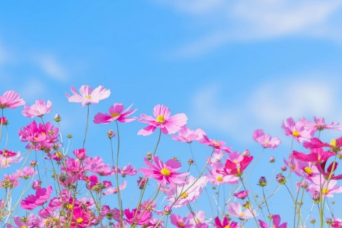 乾燥&冷え改善 キャンペーン