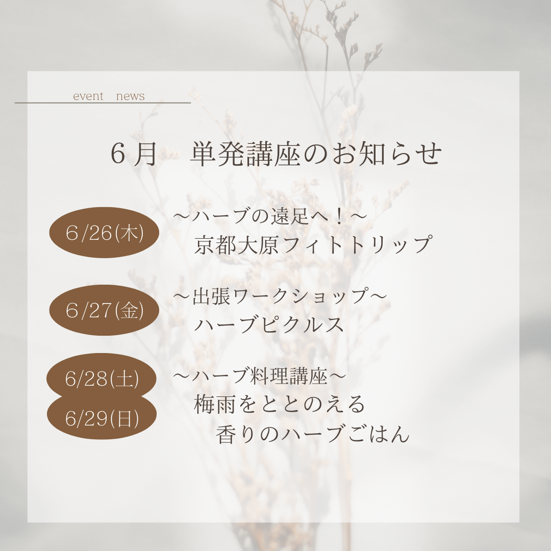 6月開催 単発講座のお知らせ