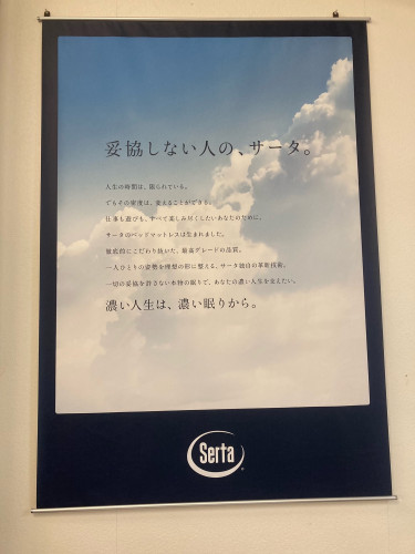 ベット新商品入荷しました。