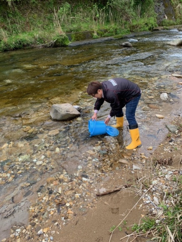 振草川 放流情報