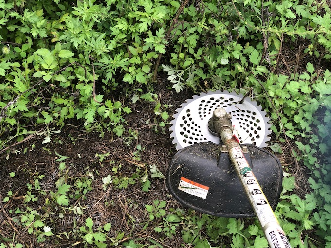 草刈り/お庭の掃除
