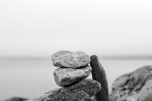 2A6C1CA0-F3E9-4DAB-8F7E-A3890540061B.png