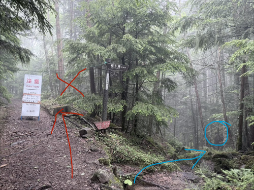 稲子湯〜みどり池登山道について