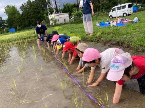 田んぼでの取り組み①(泥んこ遊び&田植え☺)
