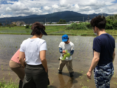 田んぼでの取り組み②(田植え&草取り☺)