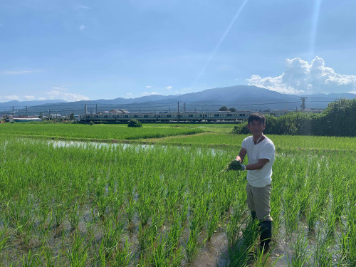 夏季休業のお知らせ