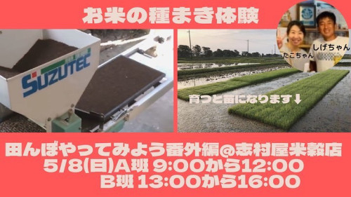 5/8㈰に【お米の種まき体験】イベントをいたします。
