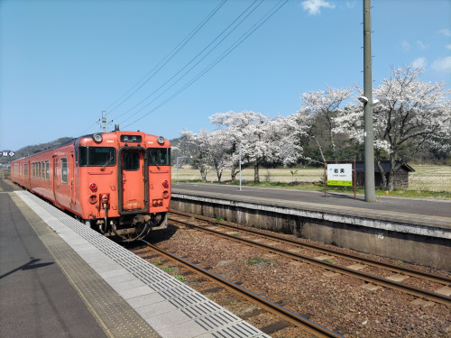 DSC_9131.JPG