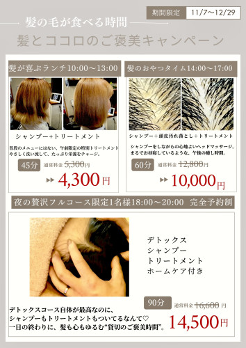 キャンペーンスタート