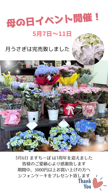 1周年を迎えました(^▽^)/