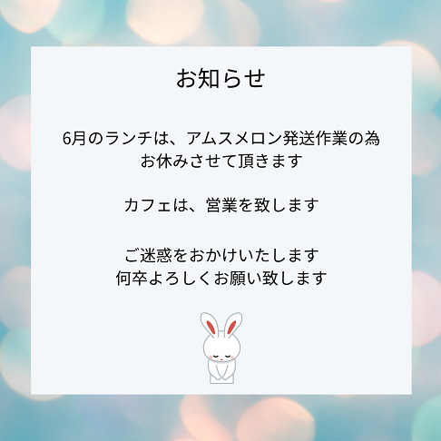 6月のランチについて