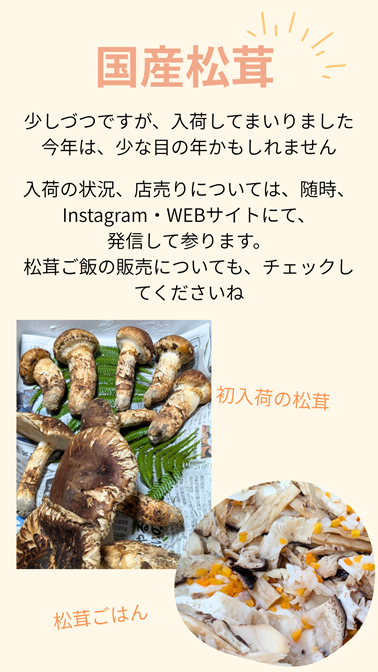 国産松茸 入荷が始まりました