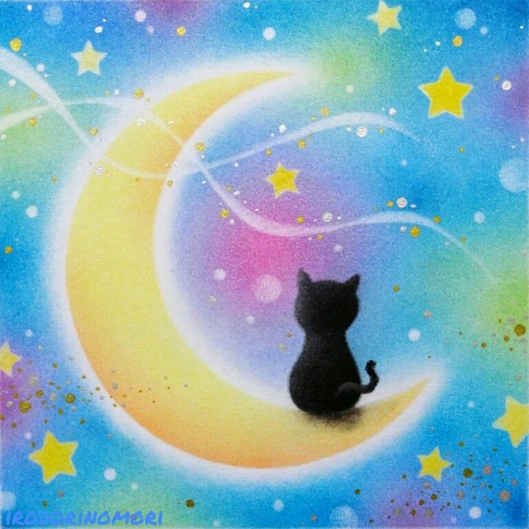 定休日💤
