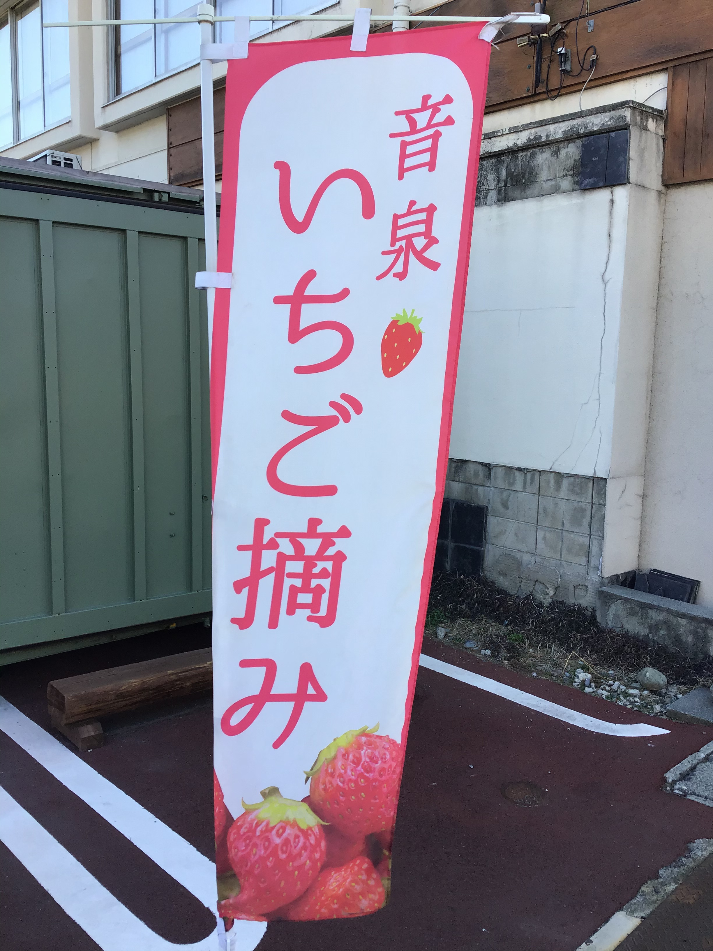 わいわい広場さんで酵素玄米販売❣️