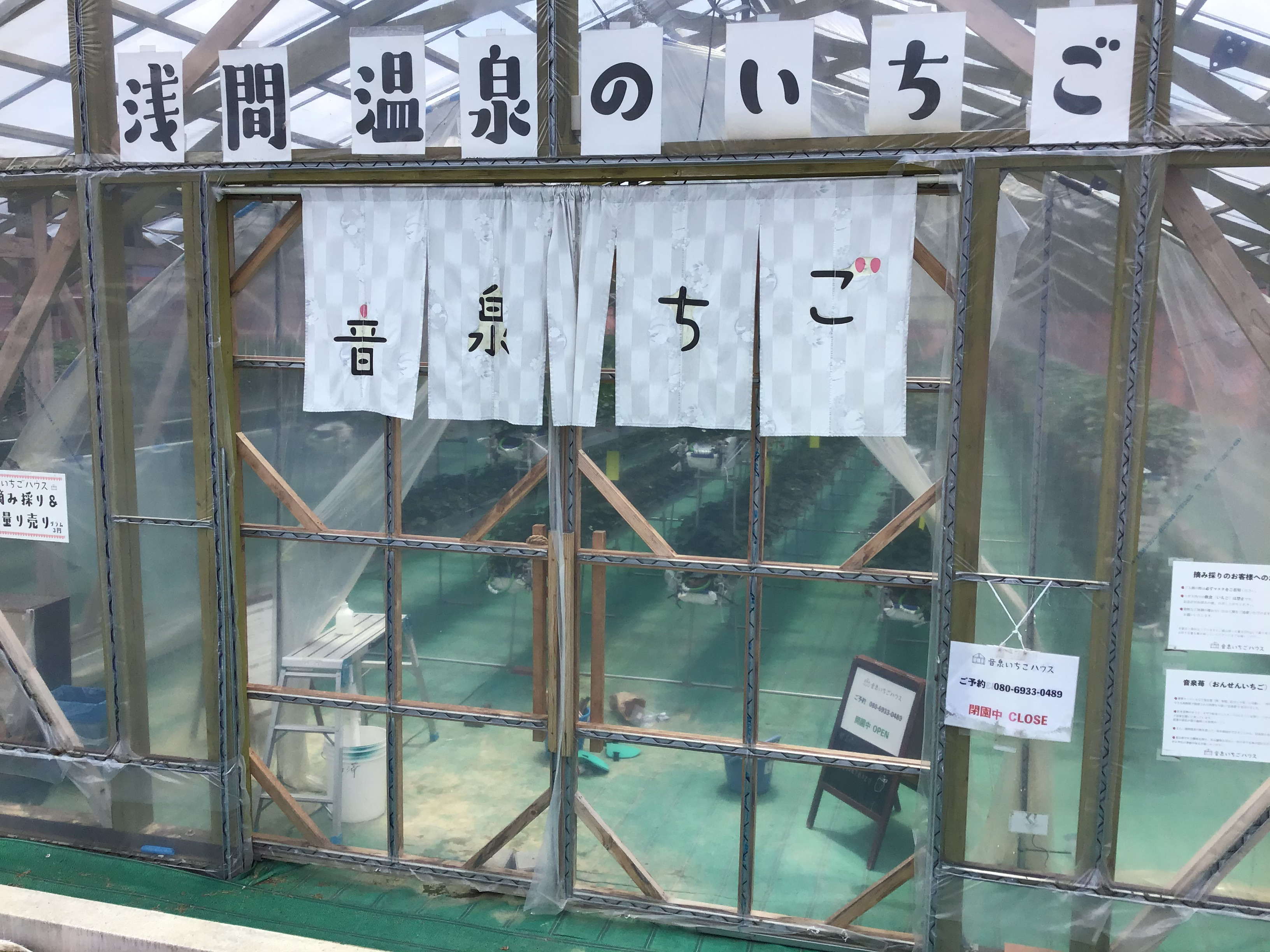 わいわい広場で酵素玄米販売❣️