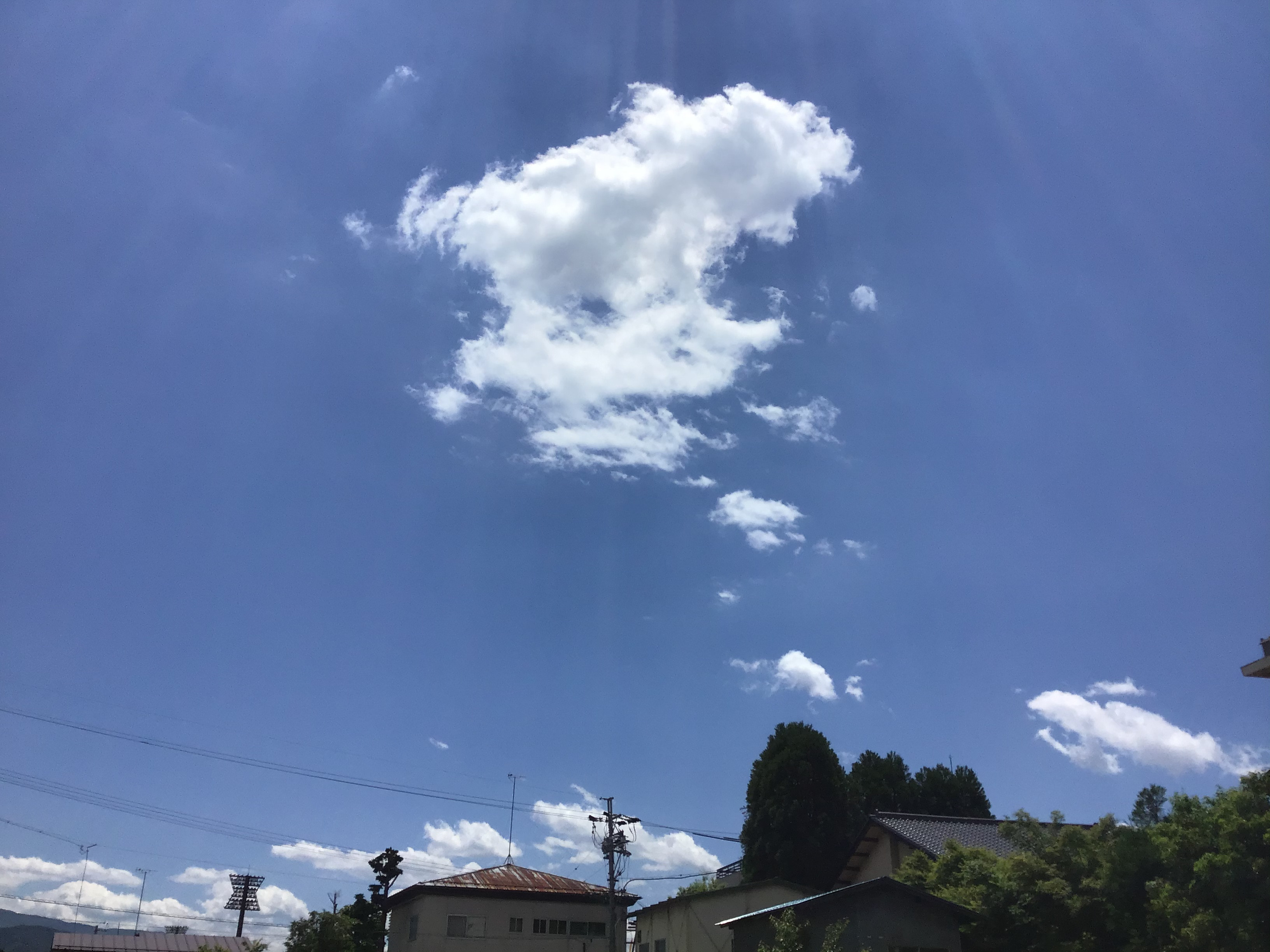 わいわい広場で酵素玄米販売❣️