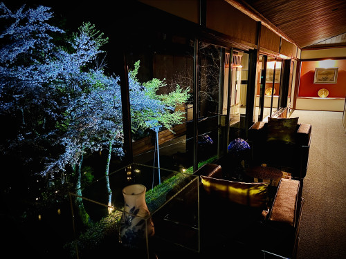 夜桜