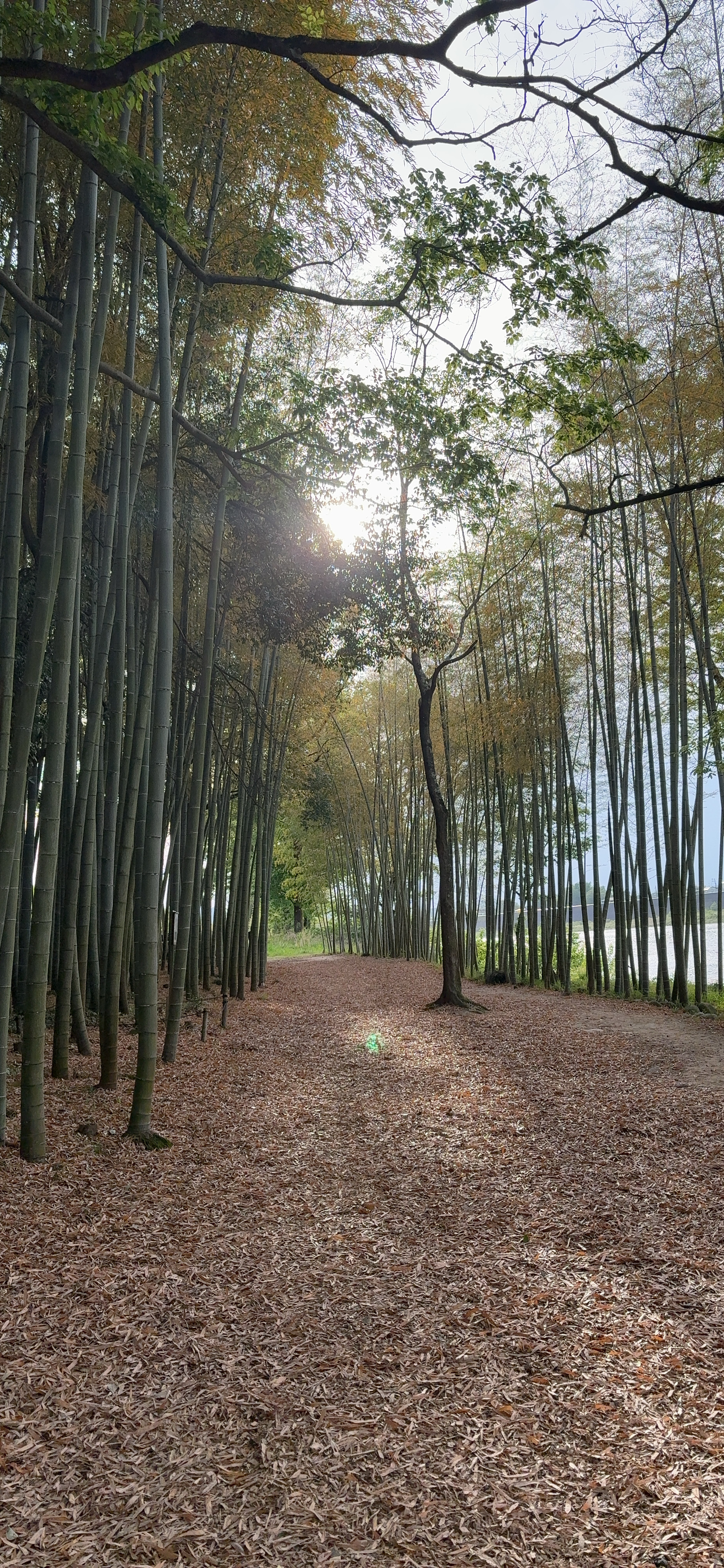 日帰り岐阜