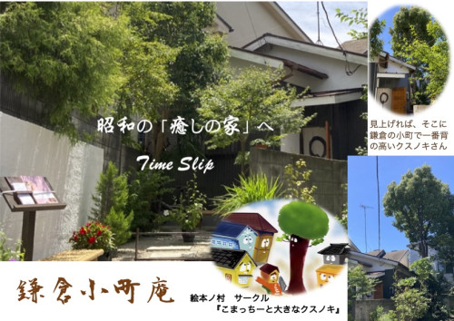 鎌倉小町庵の周りの植木が伐採され、大きなクスノキの全景が・・・。