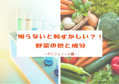 野菜の色から分かる野菜の特徴 ~ポリフェノール編~（ゆきか講師）