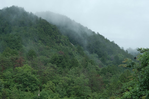 金城貴史さん インタビュー|ちょうどよく居心地よく、から紡がれるもの