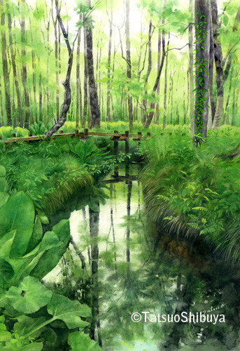 夏来る･刺巻湿原  51×36cm