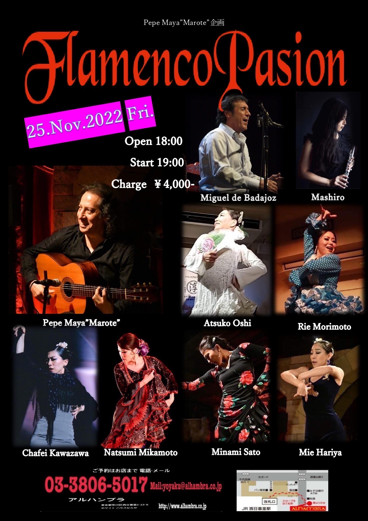 Flamenco Pasion