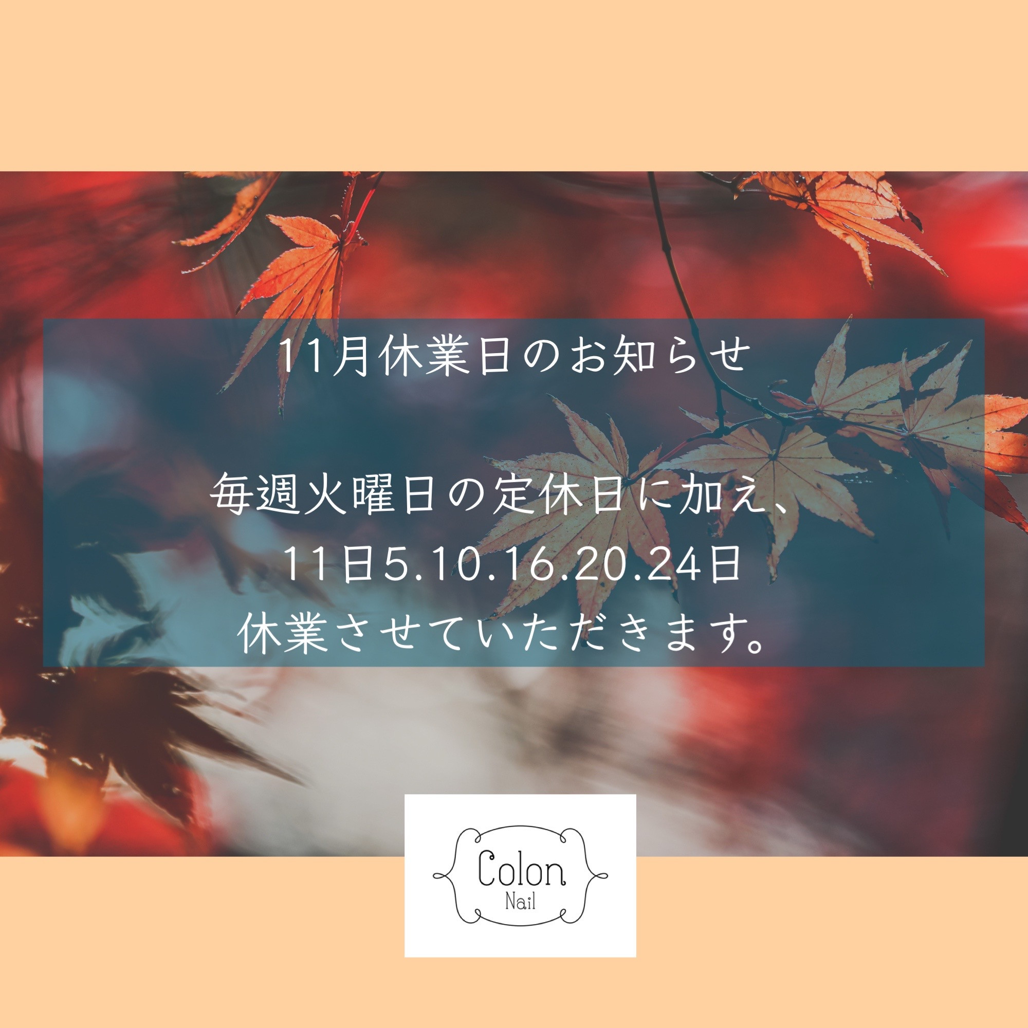 11月休業日