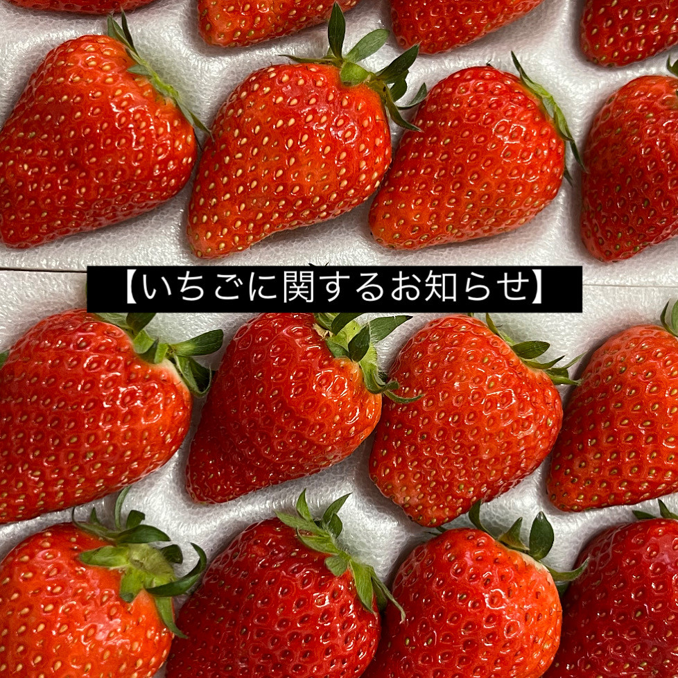 【いちご商品に関するお知らせ】