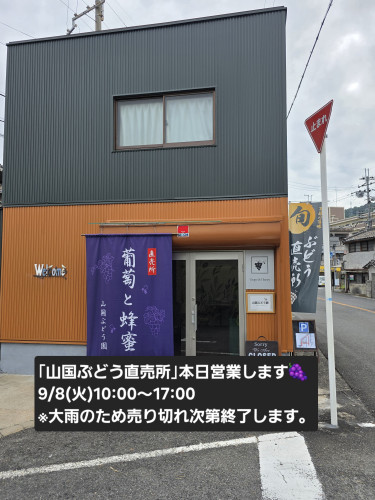 9/8(火)「山国ぶどう直売所」本日は特売日といたします🍇