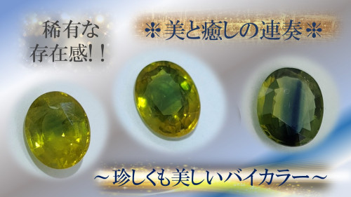 kv完.jpg