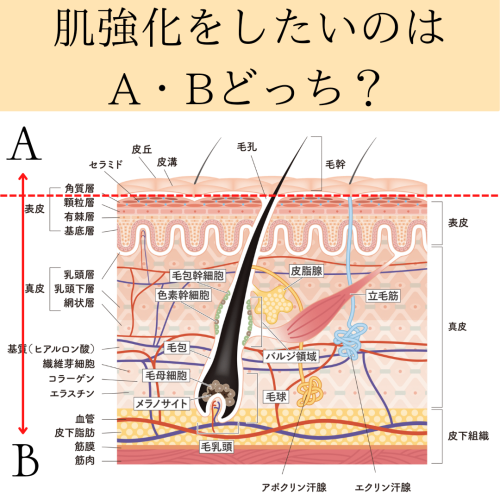 有効成分は必要な所に届けましょう!