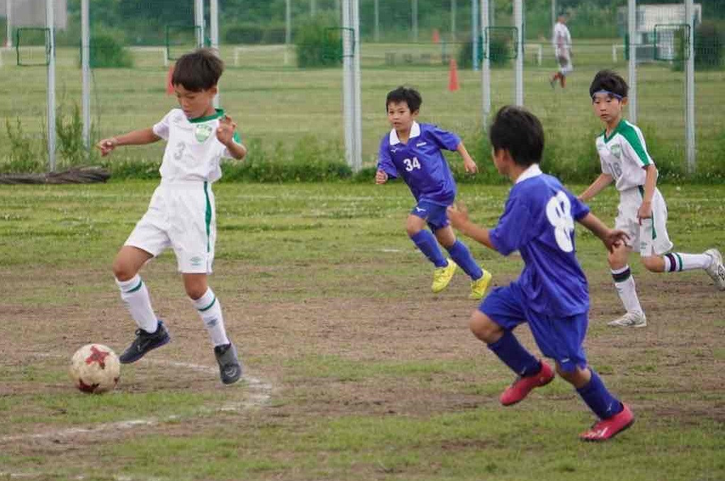 ３年生　世田谷大会の結果