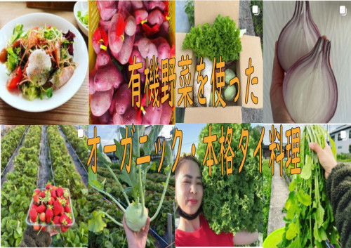 本格オーガニック・タイ料理をお楽しみください!!