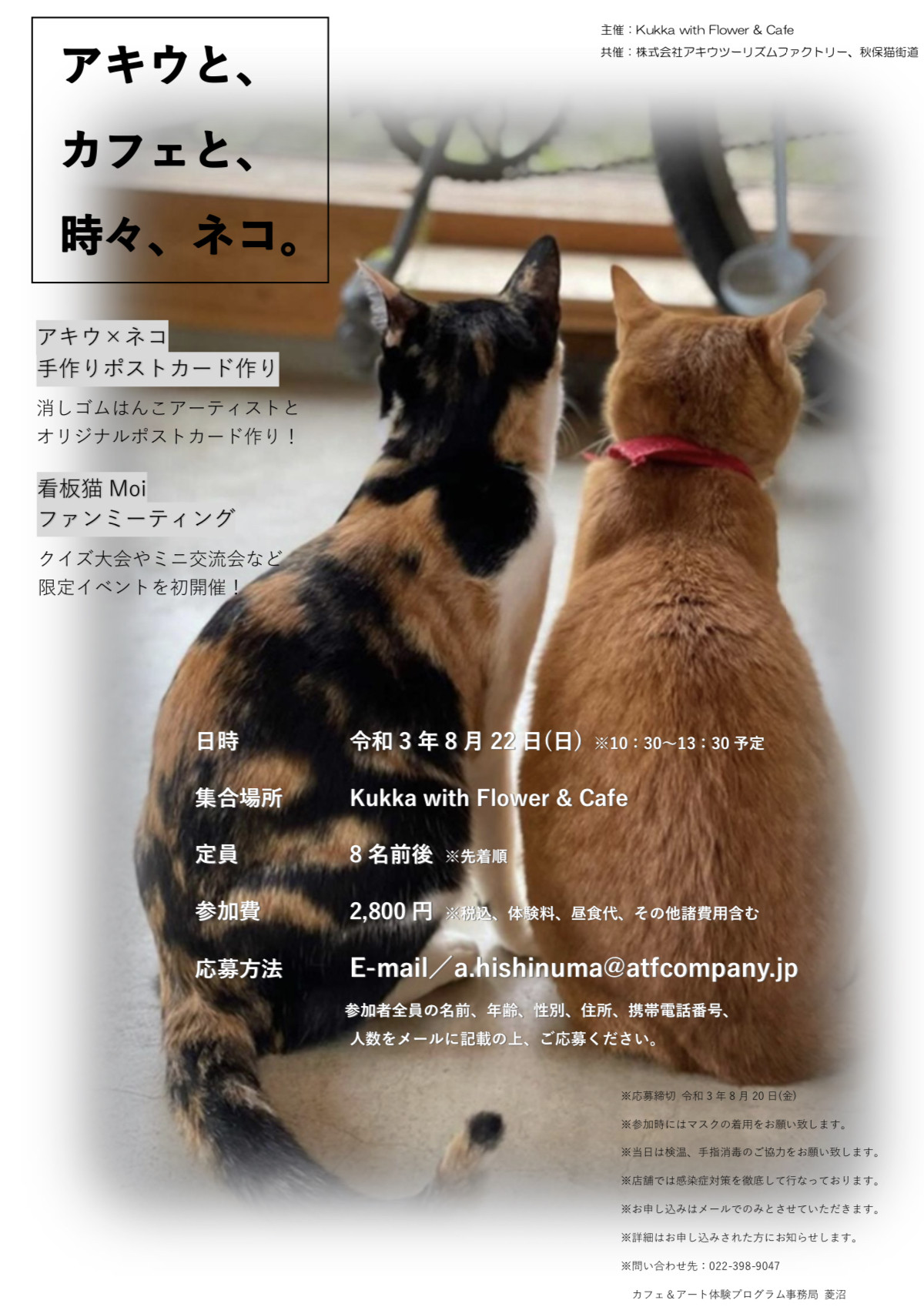 アキウと、カフェと、時々、ネコ。