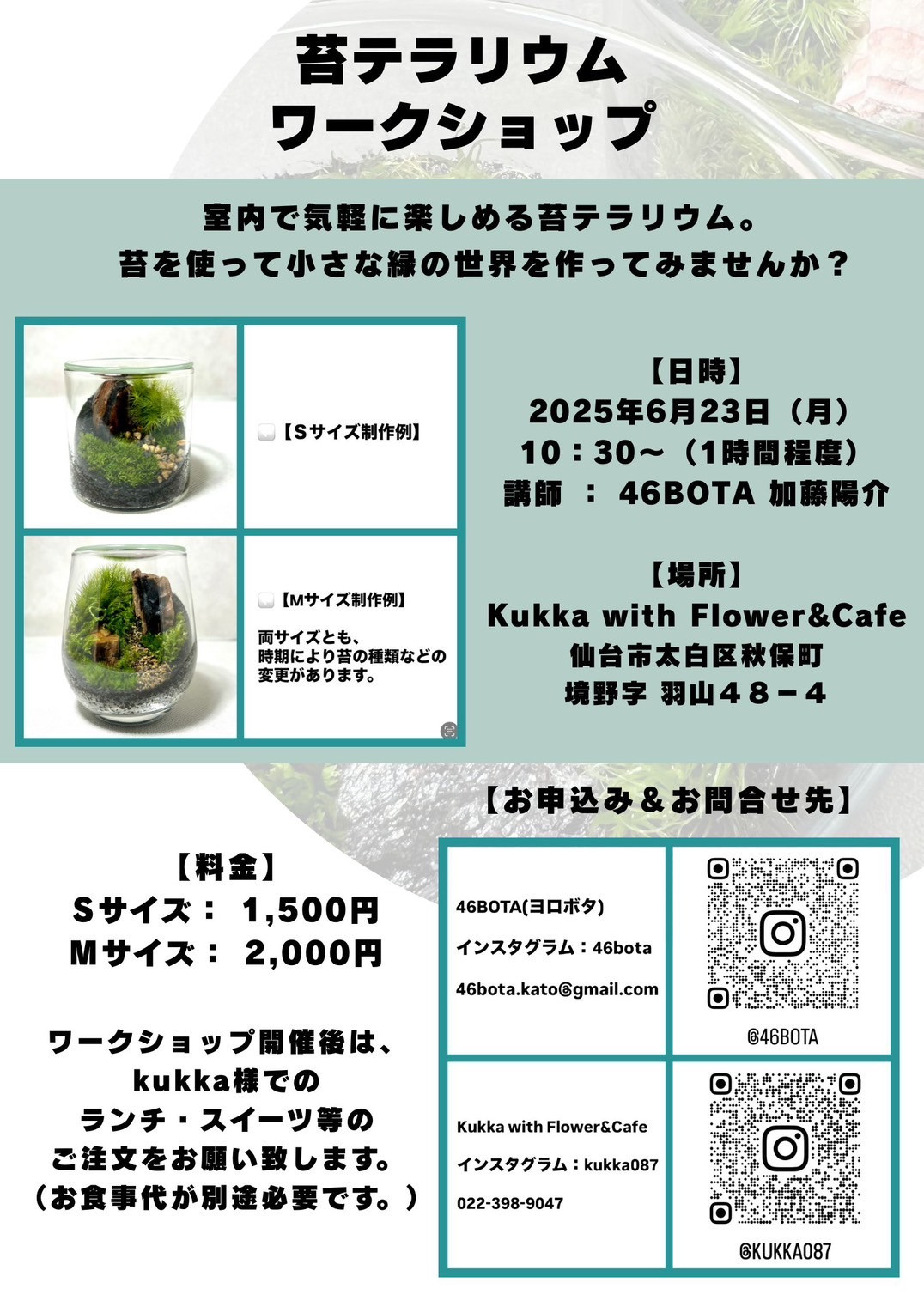 苔テラリウムのWS開催します