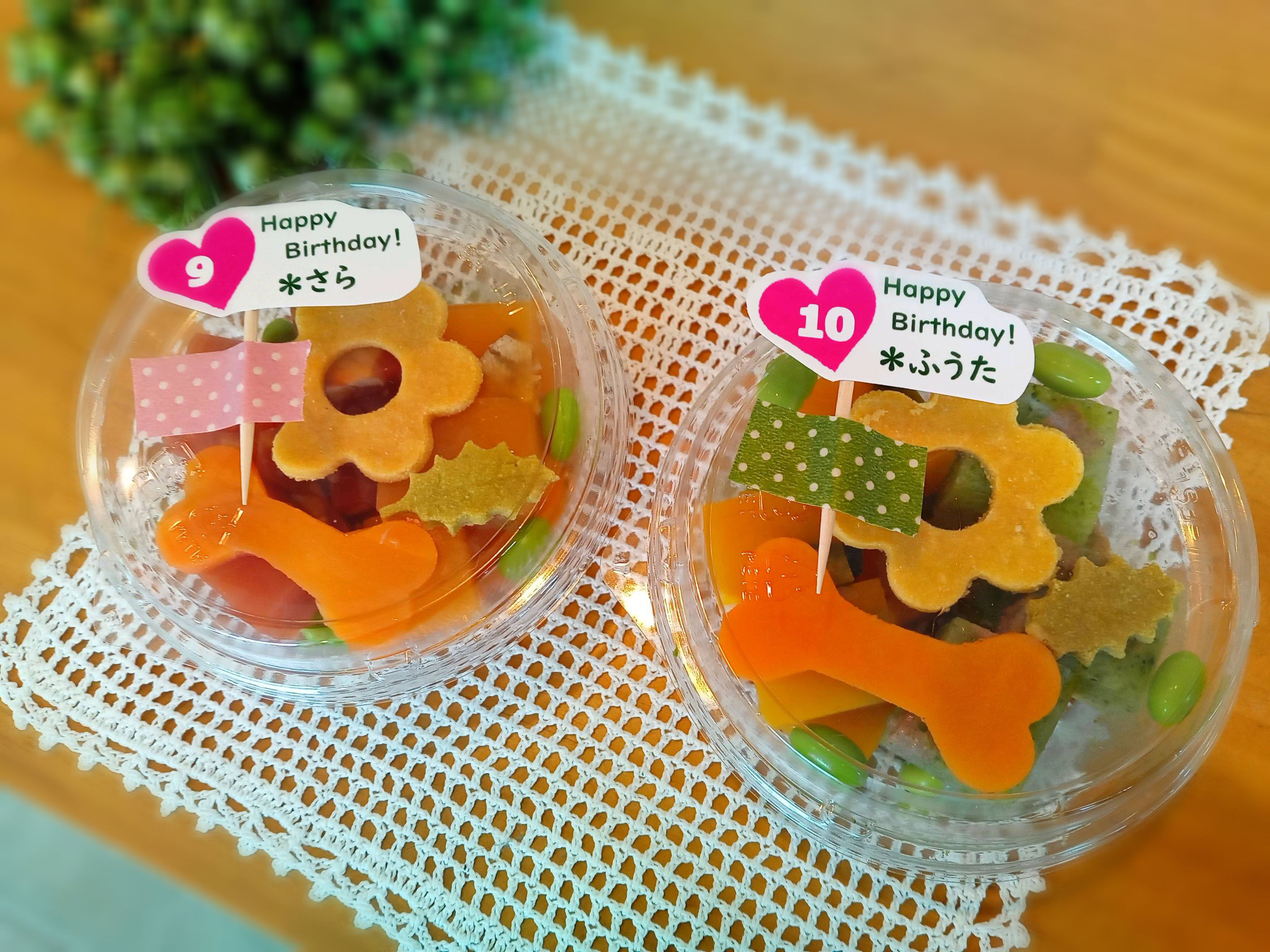 季節のごちそうゼリー「ブロック2種盛り」12~2月