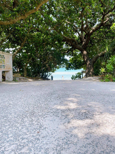 金曜日営業始まります✨