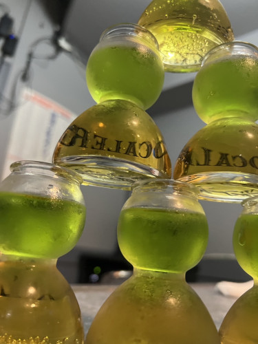 日曜日営業始まります✨