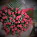 DSCF0534.jpg
