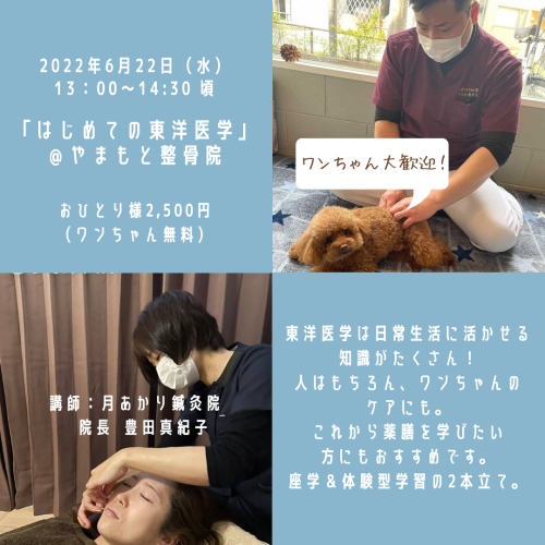 ワンちゃん連れOK!「はじめての東洋医学」を開講いたします